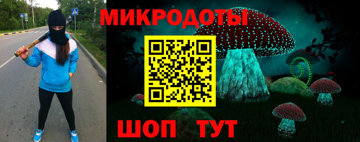 Галлюциногенные грибы Psilocybe  Вход с VPN  Фурманов 