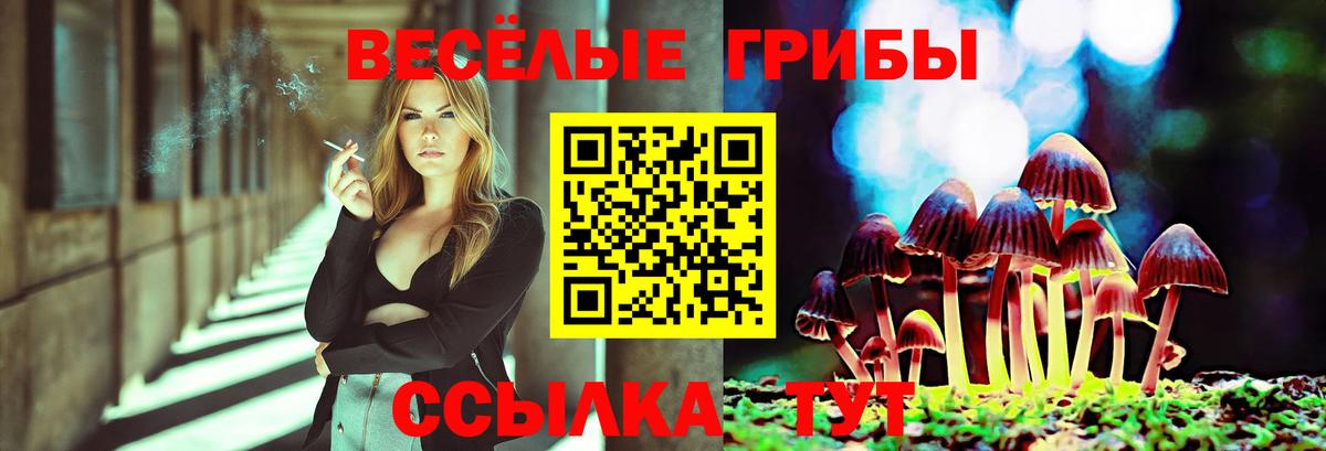 Псилоцибиновые грибы Psilocybine cubensis Фурманов
