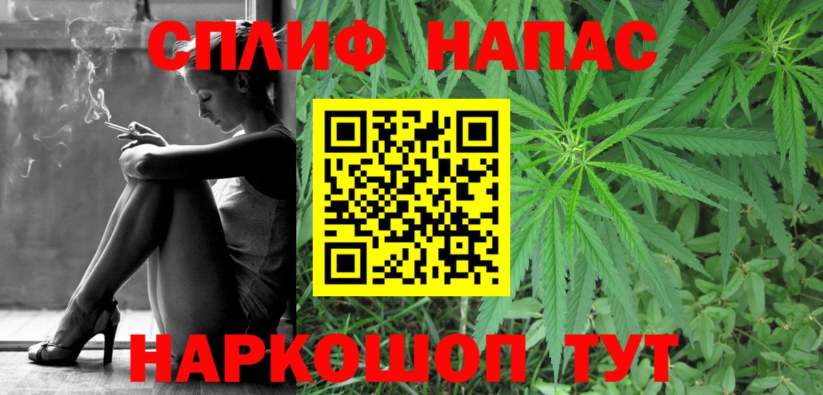 Бошки Шишки Фурманов